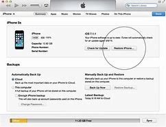 Image result for iTunes Wipe iPhone