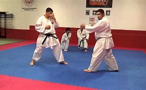 Image result for Karate Leaping Punching Attack