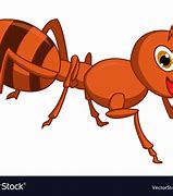 Image result for Ant Cartoon