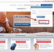 Image result for AAA Life Insurance Payment