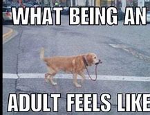 Image result for Funny Bad Adulting