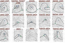 Image result for Tented Arch vs Arch