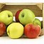 Image result for 4 Apples Pics