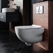 Image result for Wall Mounted Toilet Seat