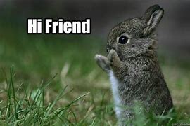 Image result for Cute Hello My Friend Meme
