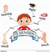 Image result for Preschool Five Senses Clip Art
