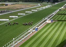Image result for Racecourse