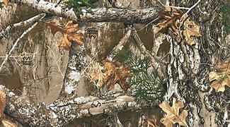 Image result for Hunting Camouflage Patterns