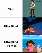 Image result for Ultra Blind Pro Max