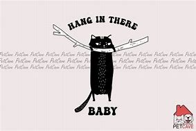 Image result for Hang in There Cat Meme Funny