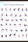 Image result for The 11 Positions of Jiu Jitsu