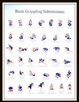 Image result for Jujitsu Techniques