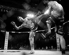 Image result for MMA Workout