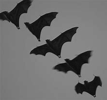 Image result for Flock of Bats Called