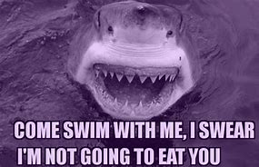 Image result for beach memes sharks