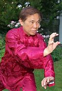 Image result for Kung Fu Animal Stances