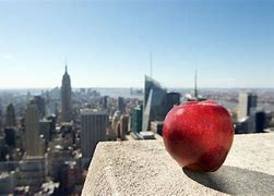 Image result for The Big Apple New York