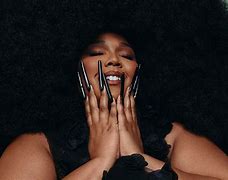 Image result for Lizzo with Purple Hair