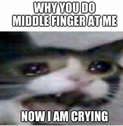Image result for Crying Cat Meme Middle Finger