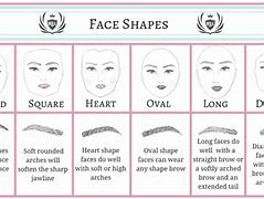 Image result for Correct Eyebrow Shape
