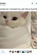 Image result for Hilarious Twitter Memes