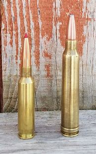 Image result for 6.5 Creedmoor VS-30 06