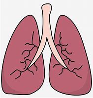 Image result for Lung Cancer Clip Art
