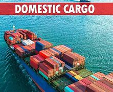 Image result for Domestic Cargo Warehouse