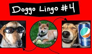 Image result for Doggo Dog OH Lawd