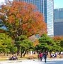 Image result for Photos of Tokyo