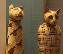 Image result for Dancing Mummies
