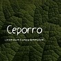 Image result for ceporro