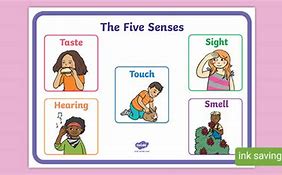 Image result for Verbs of Senses