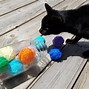 Image result for How to Make Cat Toys