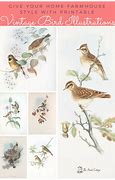 Image result for Bird Free Printable 4X6