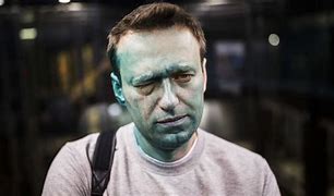 Image result for Daria Navalni