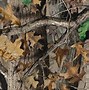 Image result for Camouflage Background