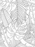 Image result for Jungle Leaf Coloring Page