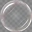 Image result for Cartoon Bubbles Black Transparent