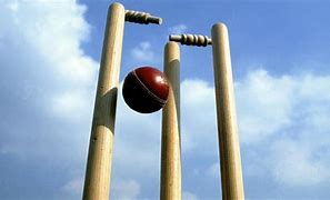 Image result for Wicket Nad Ball