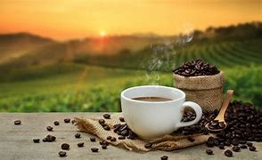 Image result for Background Kopi