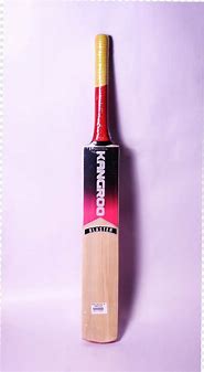 Image result for Bas Cricket Bat