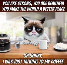 Image result for Good Morning Grumpy Coffee Cat