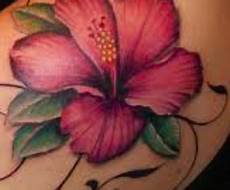 fiore ibisco significato tatuaggio hibiscus significato simbolo ed immagini fiore ibisco significato tatuaggio hibiscus significato simbolo ed immagini