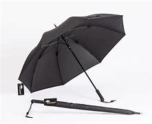 Image result for Walking Stick Umbrella