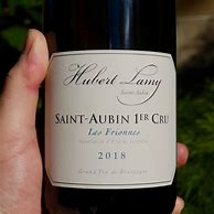 Image result for Hubert Lamy Saint Aubin Frionnes Blanc