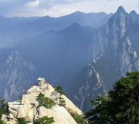 Image result for Mount Hua Wildlife