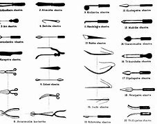 Image result for Ancient India Tools
