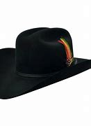 Image result for Texas Cowboy Hat