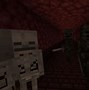 Image result for 25 Wither Skeleton X Wither Skeleton